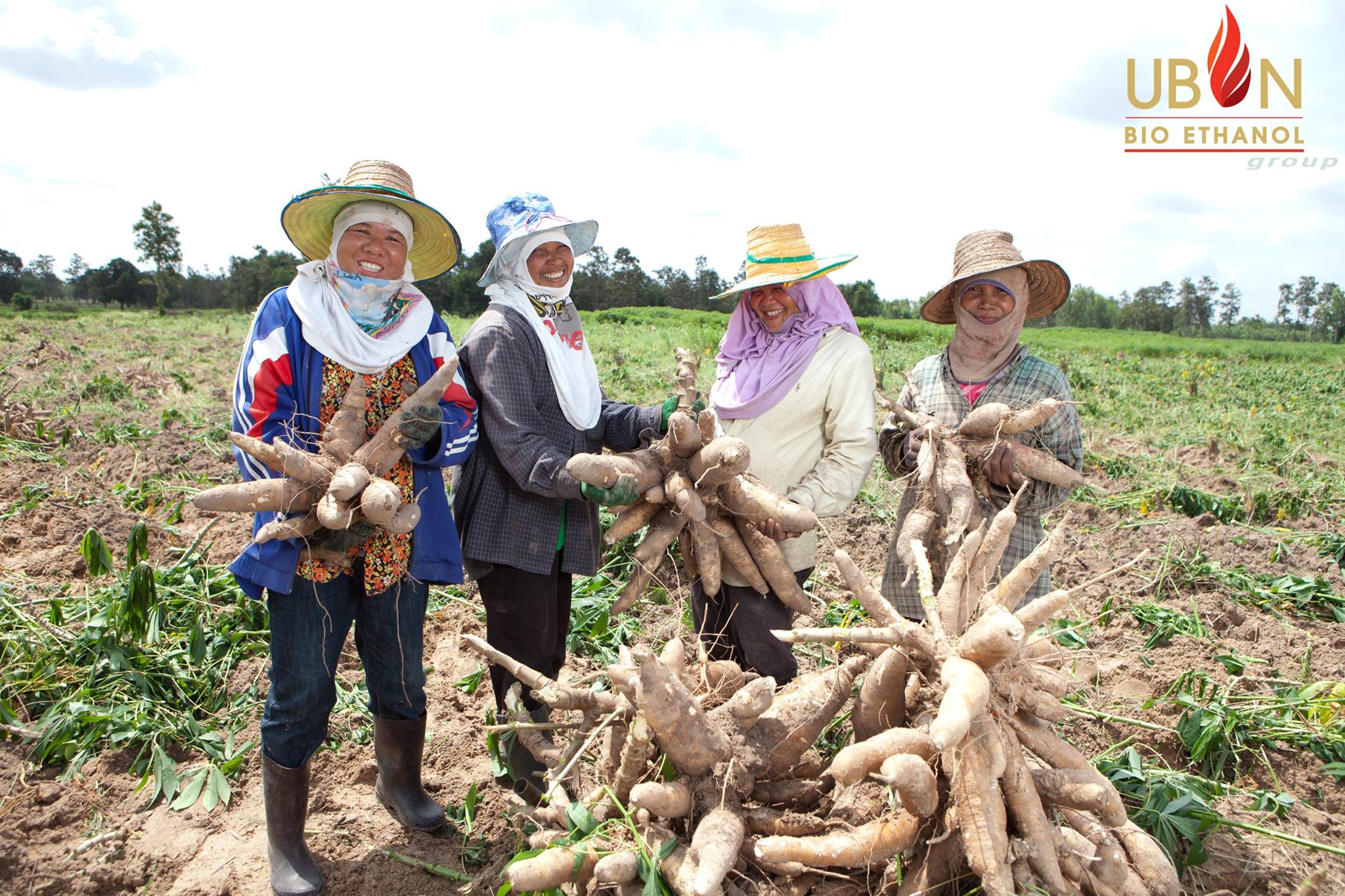 ประเทศไทยขึ้นแท่นผู้ส่งออกผลิตภัณฑ์มันสำปะหลังรายใหญ่ที่สุดของโลก